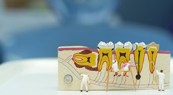 small figurines cleaning teeth