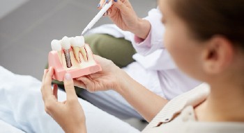dentist placing tooth on prosthetic jaw